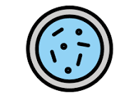 🧫 Studies on Stomach Health & Helicobacter pylori